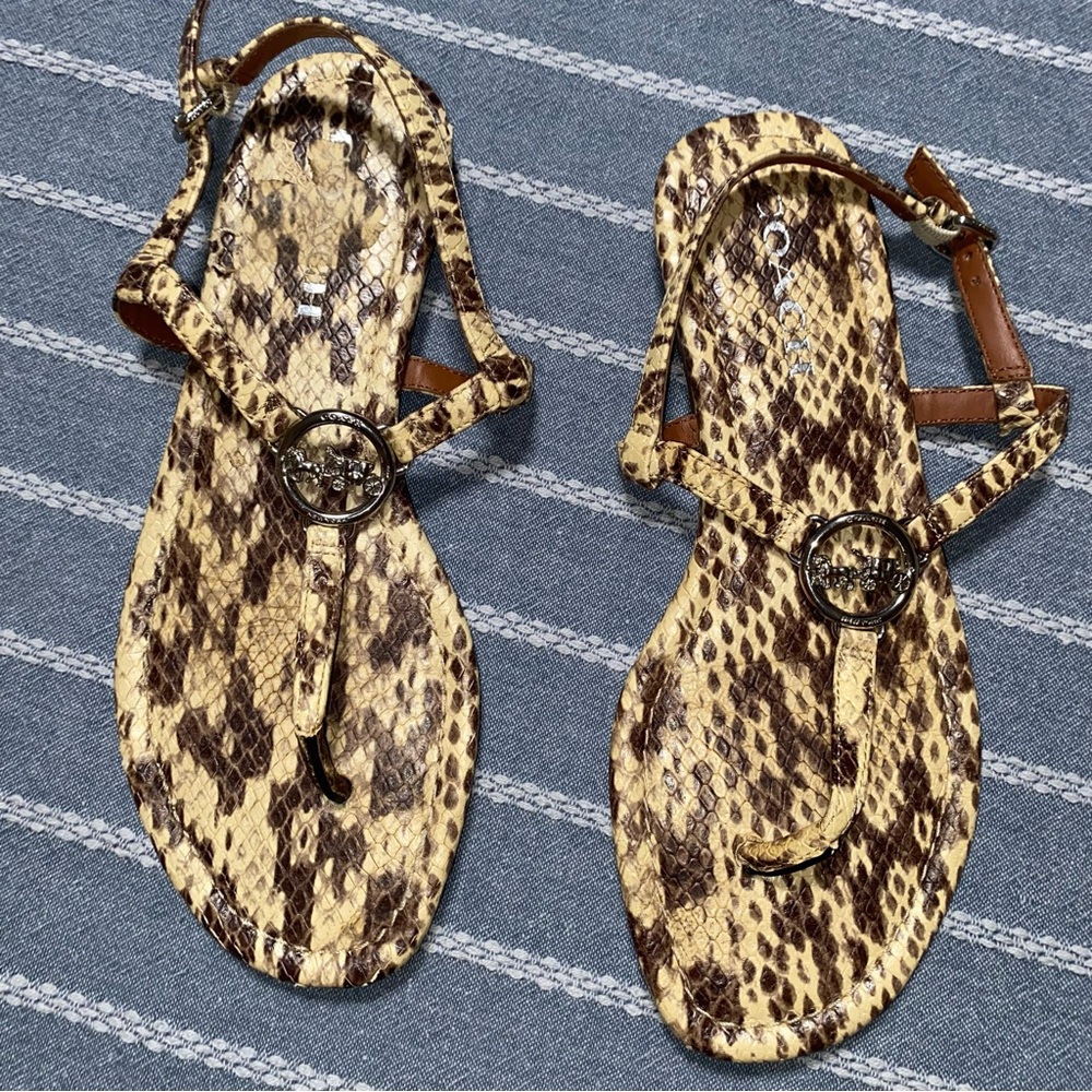 Coach Snake Print Thong‎ Sandals 7.5